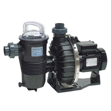 Pentair CHALLENGER filtration pump 