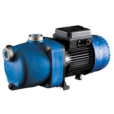 Polaris 1HP single-phase booster pump 