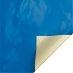 Blue with ivory underside Blue with ivory underside