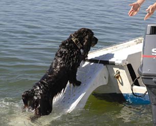 Skamper Ramp for pet pool protection used when sailing