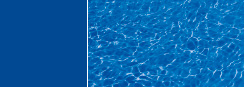 Island blue liner Island blue liner