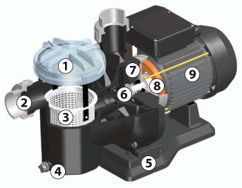 Scattered view Sena Tradipool filtration kit 