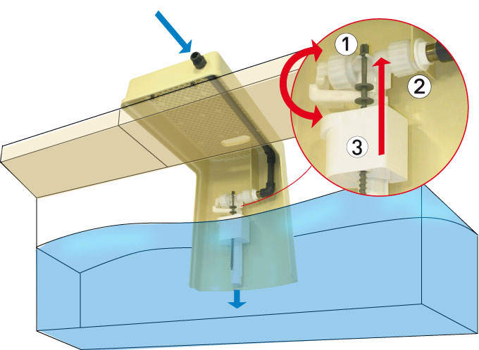 Réguleau schema