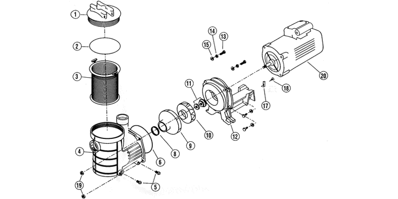 Scattered view Pentair Eagle 2HP three phase pool pump